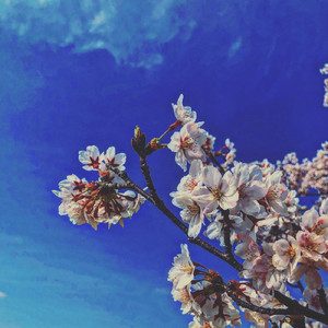 day 1 (Instrumental)