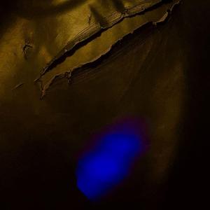 We Don't Talk About Bruno