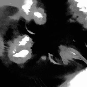 Nineteen Dino Nuggets Shared Three Ways