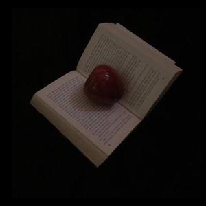 我的心在停止后仍然跳动 (prod by e.pine)