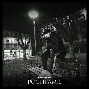 Pochi amis