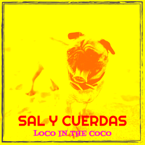 Sal Y Cuerdas