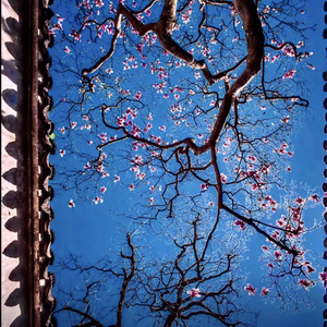 浪漫的不是雪 是有你的冬天