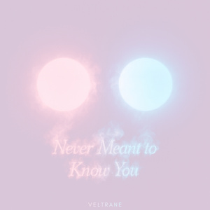 Never Meant to Know You