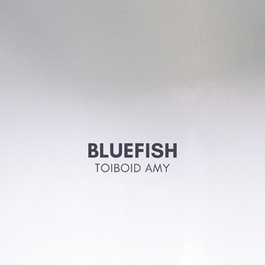 Bluefish