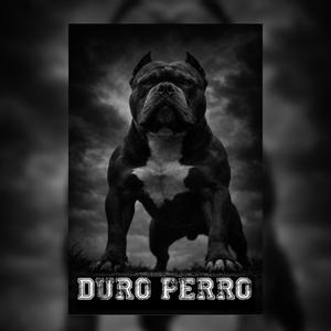 El Dibujo de la Culpa