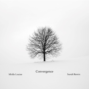 Convergence (Sundt Remix)