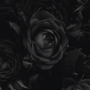 Ballade Pour Adeline