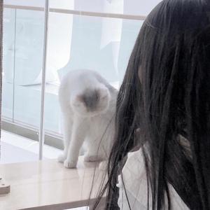 伤心太平洋（DJ版）