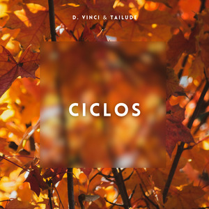 Ciclos