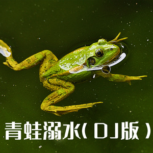 青蛙溺水 (DJ版)
