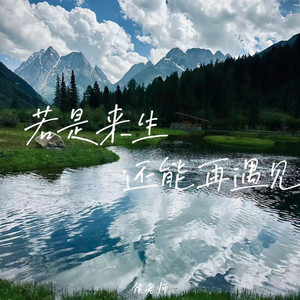 若是来生还能再遇见