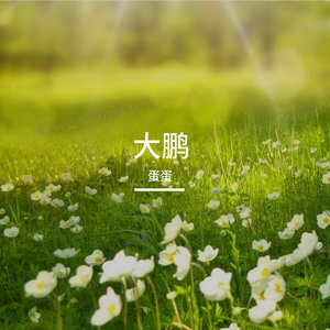 大鹏