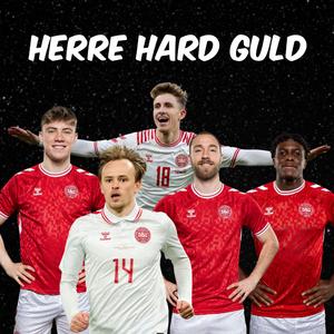 Mikkel Damsgaard Hardstyle