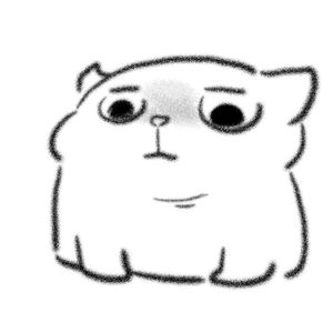 我的猫狂奔了一整夜