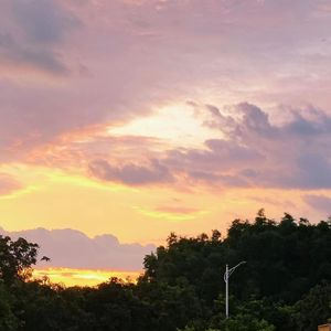 （20买断）起点