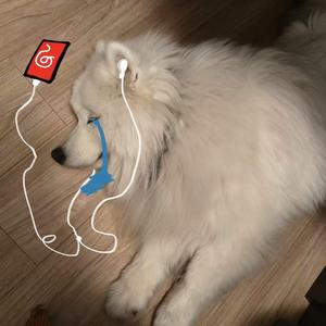 你删了汪的照片也删了汪的微信