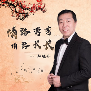 情路弯弯情路长长