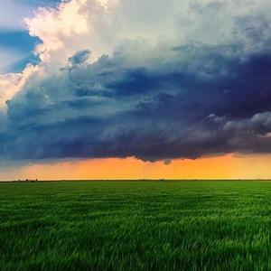 鸟之诗-小提琴片段