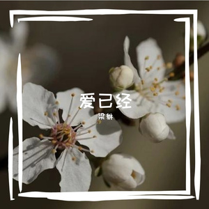 爱已经（丽Sir版）