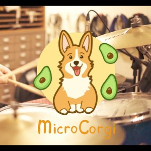 Corgi (Alternate Take)