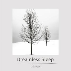 dim light in the forest