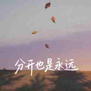 分开也是永远