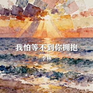 我怕等不到你拥抱