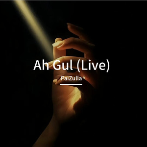 Ah Gul (Live)