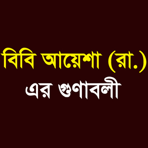 বিবি আয়েশা (রা.) এর গুনাবলী