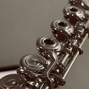 Ich Liebe Dich-beethoven