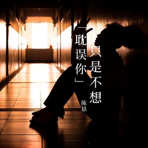 只是不想耽误你