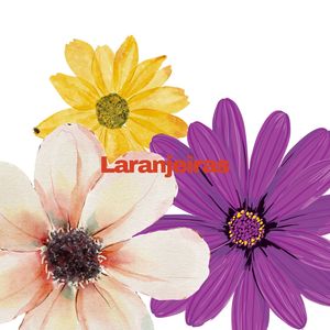 Laranjeiras