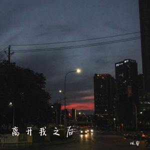 离开我之后