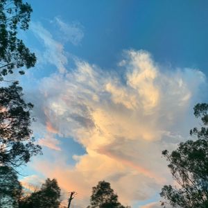 chill rythem house（TING remix）