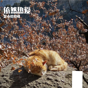 难解