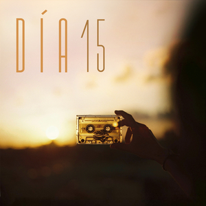 Día 15