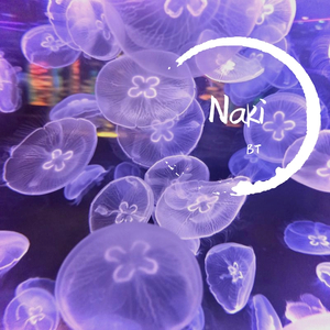 Naki（Prod.by Immortal Beats）