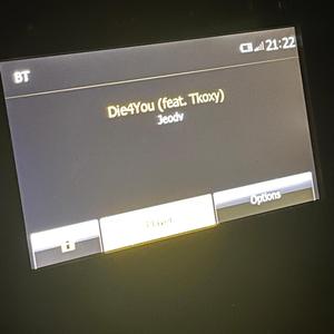 Die4You