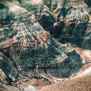 Mountains Like Teeth