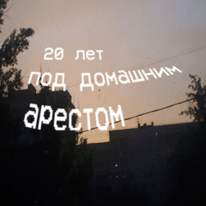 Тигровые коровы