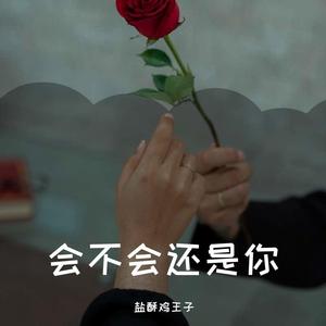 会不会还是你demo