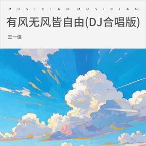 有风无风皆自由 (DJ合唱版)
