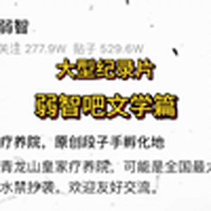 大型纪录片《弱智吧文学篇》