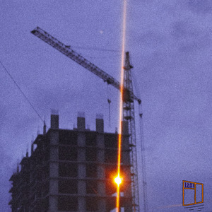 Хризантемы