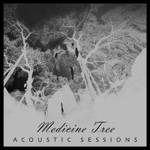 Medicine Tree (Acoustic)