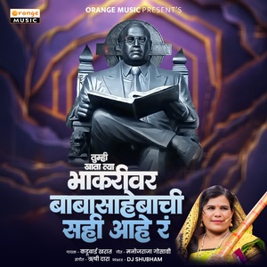 Tumhi Khata Tya Bhakari Ver Baba Sahebachi Sahi Hay R (Remix)