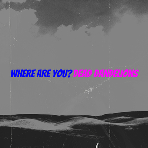Where Are You?