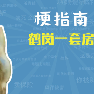 【梗指南】鹤岗一套房是什么梗