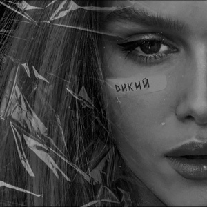 Дикий